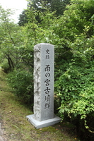 Medium_bftc 140708-0104s